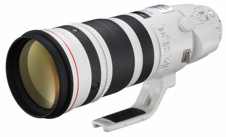 Canon EF200-400mm F4L IS USM エクステンダー 1.4×